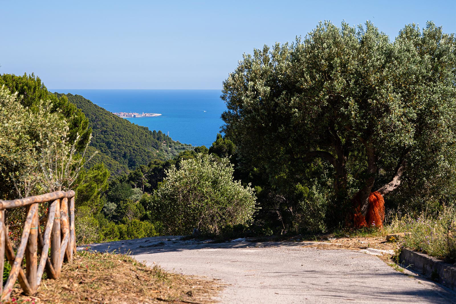 residence vacanze cilento